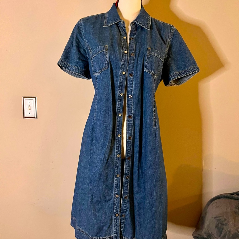 Motherhood Classic Blue Button-Down Midi Dress